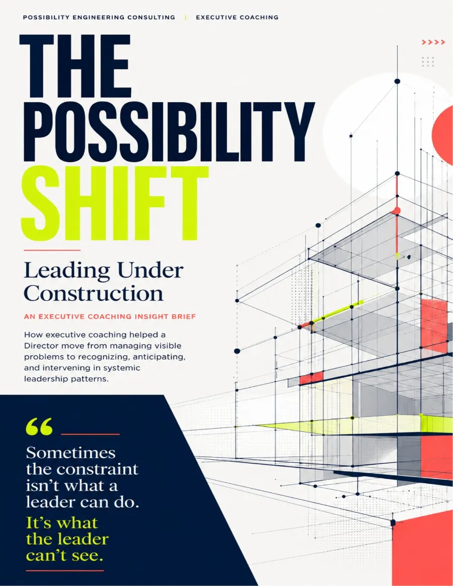 Case study cover: The Possibility Shift